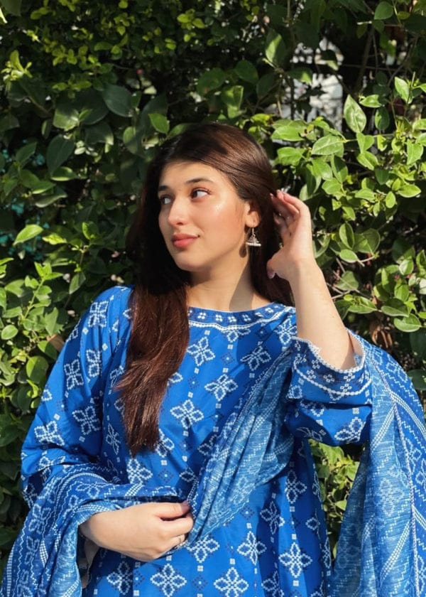 BERRY🫐 3PC SUIT WITH FARSI SALWAR